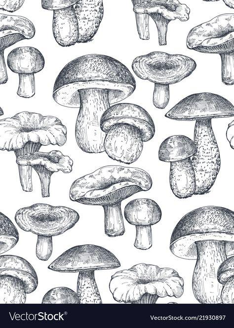 Cooking Sketch, Mushroom Fabric, Forest Mushrooms, Organic Cooking, Pillow Slip Covers, Fairy Crafts, Sketch Style, Art Organization, Beautiful Autumn