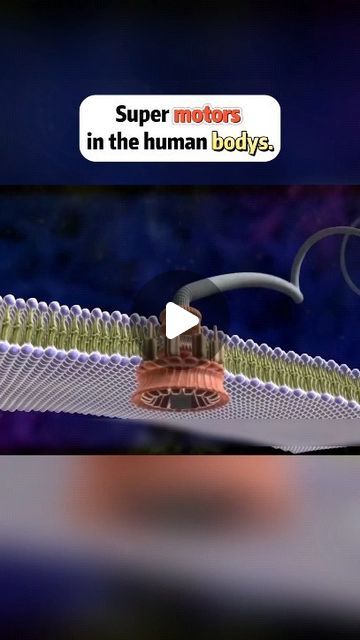 Human Body Video, Human Body Videos, Inside Human Body, Diy Mechanics, Creation Science, Story Teller, Amazing Body, Medical Devices, Car Maintenance