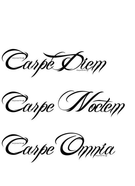 Love this Carpe Noctem Tattoo, Tattoo Carpe Diem, Crown Clip Art, Pop Art Tattoos, Carpe Noctem, Peacock Tattoo, Cross Tattoos For Women, Latin Quotes, Fantasy Tattoos