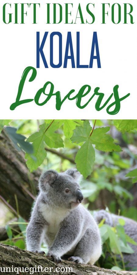 Gift Ideas for Koala Lovers | Gift Ideas for Koala Collectors | Koala Lovers Gifts | Presents for Koala Collectors | The Best Koala Lovers Gifts | Cool Yak Gifts | Koala Gifts for Birthdays | Koala Gifts for Christmas | Koala Jewelry | Koala Artwork | Koala Clothing | Things to Buy a Koala Lover | Gift Ideas | Gifts | Presents | Birthday | Christmas #Koala #animallover #gifts Koala Artwork, Koala Jewelry, Koala Gifts, Christmas Koala, Lovers Gift Ideas, Presents Birthday, Lover Gift Ideas, Milestone Birthday Gifts, Gifts For Christmas