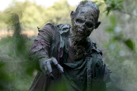 'The Walking Dead' to air 49-hour zombie onslaught Walker Twd, Walker The Walking Dead, The Walking Dead Finale, Walking Dead Costumes, Zombie Drawings, Walking Dead Art, Apocalypse Aesthetic, Walking Dead Zombies, Fall Tv