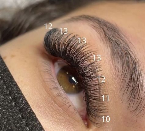 Vavalash Lash Extensions, Lash Extensions Styles Natural Mapping, Lash Maps For Beginners, Cluster Eyelashes How To Apply, Eyelash Extensions With Numbers, 11mm Lash Extensions, Lash Extension Photos, Eyelash Extensions Styles Map, Hybrid Eyelash Extensions Mapping