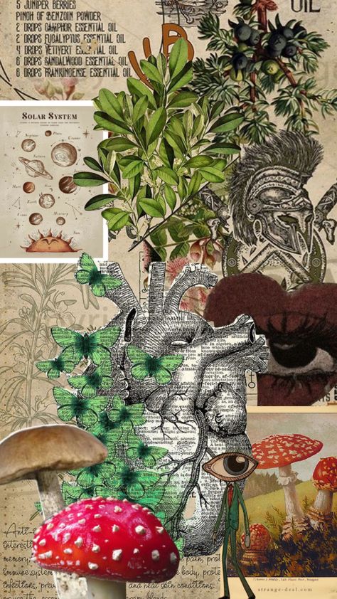 Green Mushroom Aesthetic, Mushrooms Aesthetic, Mushroom Collage, Aesthetic Shuffles, Moodboard Collage, Mixed Art, Collage Drawing, Green Magic, Image Map