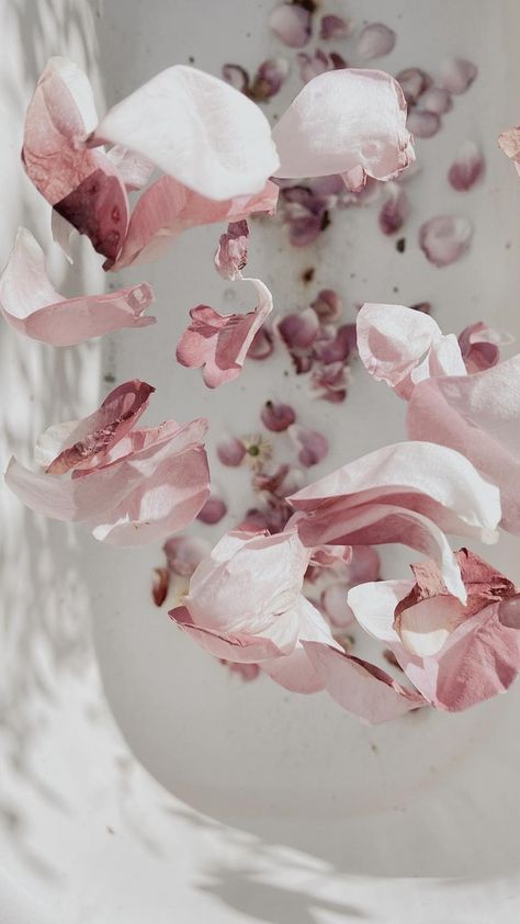 Falling Wallpaper, 3d Simulation, Wallpaper Rose, Apple Background, Pink Flowers Wallpaper, Flying Flowers, Wall Paper Phone, Instagram Theme Feed, Disney Phone Wallpaper