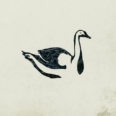 Black Swan Song, Black Swan Tattoo, Ballet Tattoos, Swan Drawing, Lake Tattoo, Swan Tattoo, Crane Tattoo, Song Art, Swans Art