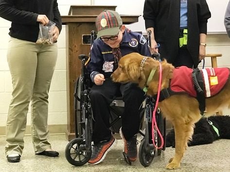 Service Dog Trainer School | School for Dog Trainers Dog At Home, Trail Dog, Service Dog Training, Dog School, Assistance Dog, Bad Behavior, Aggressive Dog, School School, Dogs For Sale