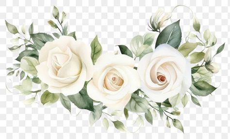 Flower Frame Png Design, White Rose Flower Bouquet, White Rose Png, White Flower Png, White Flower Background, Watercolor Flowers Png, White Rose Wedding, Png Rose, Hijabi Brides