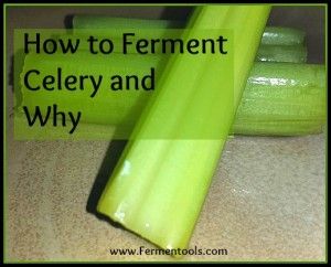 Fermented Celery, Fermenting Carrots, Fermenting Veggies, Fermenting Recipes, Fermented Vegetables Recipes, Fermented Foods Benefits, Pickled Foods, Food Preserving, Fermented Veggies