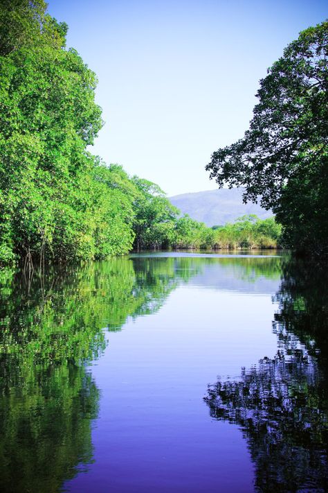 Black River, Jamaica - A big story for me with crocodiles, mine, and God #CFCUBoardtoBoard Jamaica Photos, Jamaica Ocho Rios, Jamaica Culture, Jamaica Honeymoon, Jamaica Cruise, Jamaica Hotels, Columbus Park, Ocho Rios Jamaica, Visit Jamaica