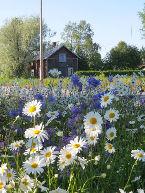 Paint Flowers, Wooden House, Garden Cottage, Summer Dream, Country Life, Farm Life, Summer House, Summer Aesthetic, Land Scape