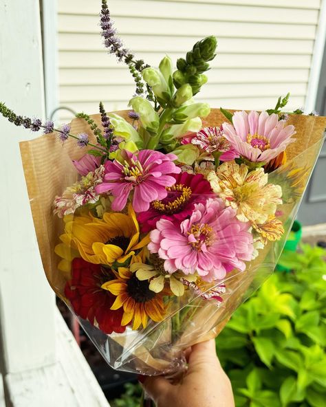 💐❤️💐 $15 Wrapped Bouquets 💐❤️💐 We are offering zinnia and sunflower bouquets. Our gardens are blooming with sunflowers and zinnias, and we want to share these beautiful blooms with you! We hope to have enough to have a tent sale this week! Message us if you would like to pre-order a bouquet today! You can also place custom orders on our website! Backyardbloomsbouquets.com Sunflower Market Bouquet, Sunflower And Zinnia Bouquet, Zinnia Bouquet, Farmers Market Vendor, Market Vendor, Vendor Ideas, Sunflower Bouquets, Tent Sale, Beautiful Blooms