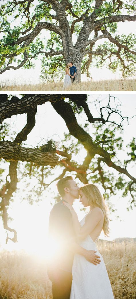 Oak Tree Photoshoot, Tree Engagement Pictures, Engagement Photos Oak Trees, Engagement Picture Outfits, Just Magic, Couple Engagement Pictures, Victoria Wedding, Live Oak Trees, Maternity Pics