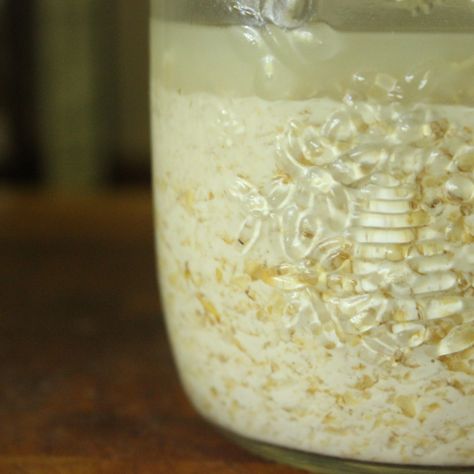 How to Make Fermented Oats A Healthy Breakfast, Fermenting, The School, Probiotics, Oats, Healthy Breakfast, Oatmeal, Do It, Yummy Food