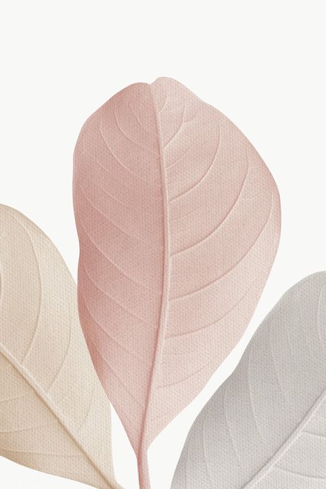 Closeup of pastel leaves texture design element | free image by rawpixel.com / Adj Pastel Leaves, Leaves Texture, Pink Plant, Leaf Texture, Floral Elements, Minimalist Wallpaper, Iphone Background Wallpaper, Flower Backgrounds, White Aesthetic