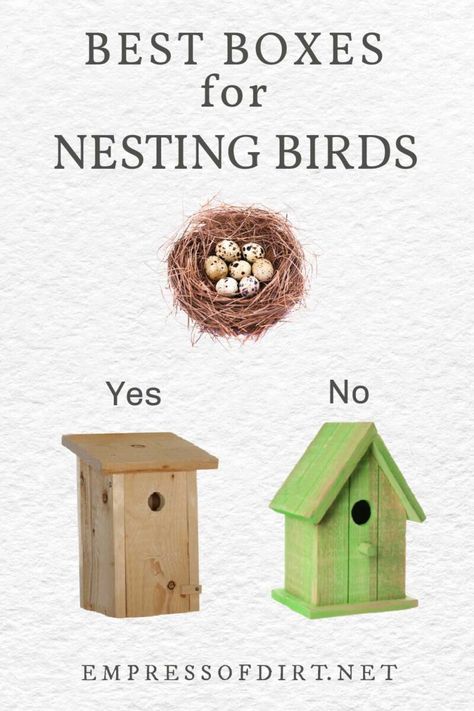 Forget letting birds nest in cute but unsafe birdhouses! If you really want to help wild birds, provide proper nesting boxes made for specific species and do what you can to prevent birds from using other hazardous nesting locations. Unique Bird Houses Diy Birdhouse Designs, Finch Bird House, Nesting Boxes Diy, Teapot Birdhouse, Bird House Plans Free, Bird Nesting Box, Modern Birdhouses, Homemade Bird Houses, Easy Bird