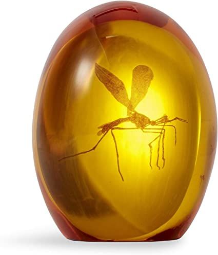 Jurassic Park Mosquito, John Hammond, Jurassic Park Series, Resin Paper, Movie Replica, Amber Resin, Amber Fossils, Jurassic Park World, Replica Prop