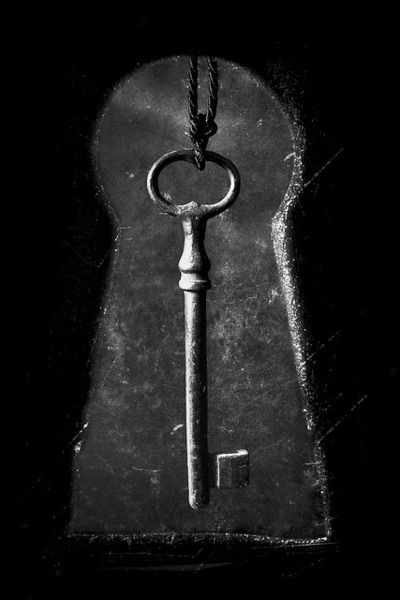 just out of reach Under Lock And Key, Old Key, Old Keys, Haiwan Lucu, Antique Keys, Locks & Key, Vintage Keys, Key To My Heart, Key Lock