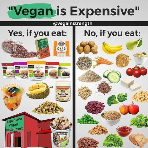 Going vegan does not have to be expensive. Vegan Facts, Vegetarian Lifestyle, Sport Nutrition, Why Vegan, Go Vegan, Vegan Nutrition, Vegan Fitness, Vegan Restaurants, Foods To Avoid