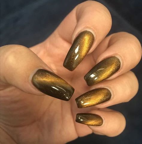 black and gold cat nails Gold Magnetic Nails, Cateye Nails, Simple Nails Design, Matte Nails Glitter, Blue Ombre Nails, Cat Eye Nails Polish, Magnetic Nail Polish, Eye Nail Art, Nails Gold