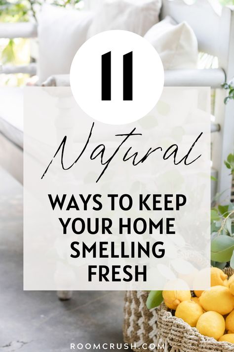 Freshening up your home naturally is pretty affordable, and it definitely beats using overly-scented products full of chemicals. If you're not sure where to start, I always recommend starting with keeping the house well-ventilated and then trying out the natural scents that appeal most to you. Eventually, you'll come across a winning combination that you'll come back to again and again. Here are my favorite ways to keep your home smelling fresh, naturally! We use affiliate links. Fresh House Smell, Old House Smells, Healthy Room, Best Plants For Bedroom, Smelling Good, House Smell Good, Natural Air Freshener, Room Freshener, Safe Room