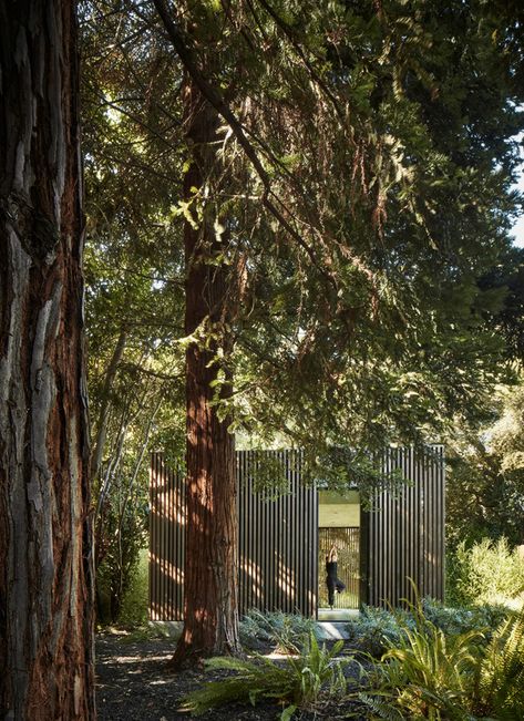 Outdoor Lounge Area, Meditation Exercises, Wood Screens, California Garden, Backyard Pavilion, Outdoor Living Design, Patio Spaces, Indoor Outdoor Living, Outdoor Oasis