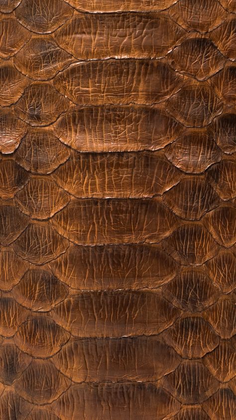 Exotic Aesthetic, Leather Wallpaper, Animal Skin Pattern, Iphone Wallpaper Texture, Golden Snake, Crocodile Texture, Beautiful Wallpapers For Iphone, Wallpaper For Iphone, Apple Watch Wallpaper