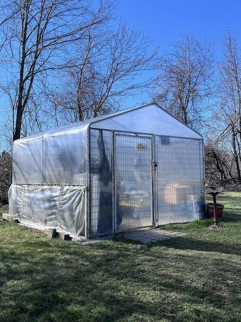 Cheap Greenhouse, Winter Greenhouse, Diy Dog Kennel, Outside Dogs, Build A Greenhouse, Backyard Poultry, Urban Homesteading, Dog Runs, Backyard Projects