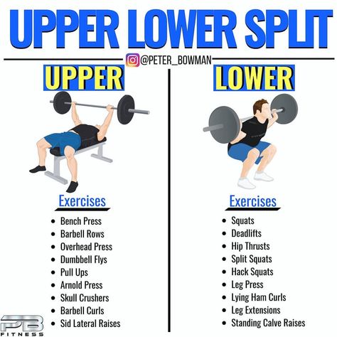 Upper Lower Split by @peter_bowman - Upper Lower splits can work amazing, which is why they are becoming increasingly popular! Especially… Upper Lower Split Workout, Total Body Workout Plan, 4 Day Workout, Split Workout, Lower Workout, At Home Core Workout, Barbell Row, Lower Belly Workout, Workout Splits