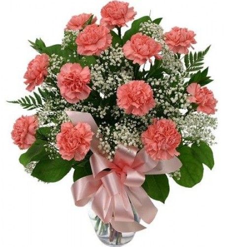 Carnation Arrangements, Peach Carnation, Get Well Soon Flowers, Loose Bouquet, Get Well Flowers, Garden Flower Beds, Flower Subscription, Anniversary Flowers, Pink Carnations