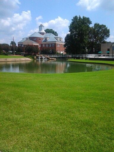 Wingate University Wingate University, Aim High, Golf Courses, Motion, University, Quick Saves, Art