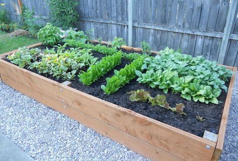 Above Ground Garden, Ground Garden, Backyard Kids, Backyard Structures, Garden Boxes Diy, Raised Garden Planters, Vegetable Garden Raised Beds, Planter Beds, Building A Raised Garden