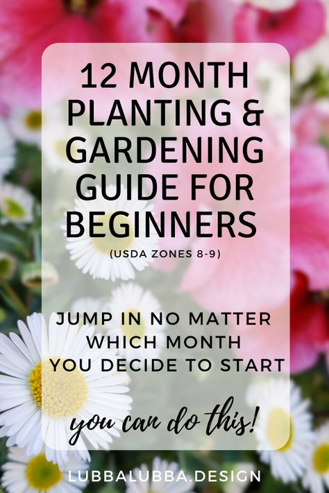 Planting Schedule, Gardening Guide, Winter Gardening, Planting Guide, Gardening Zones, Starting Seeds Indoors, Vegetable Garden Diy, Growing Veggies, Tomato Cages