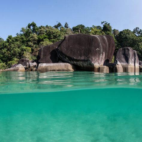 Mergui Archipelago, Myanmar | Blank ... Mergui Archipelago, Grey Reef Shark, Reef Shark, Sailing Trips, Sandy Beaches, Archipelago, Plan Your Trip, Marine Life, Southeast Asia