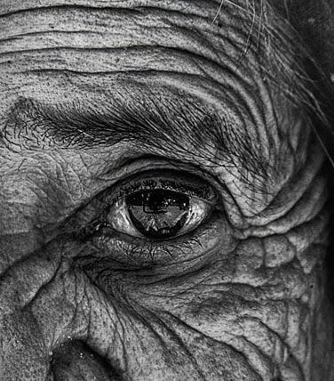 Age Photography, Old Man Portrait, Realistic Sketch, Old Memories, Realistic Pencil Drawings, Body Art Photography, Big Eyes Art, Old Faces, Eye Photography