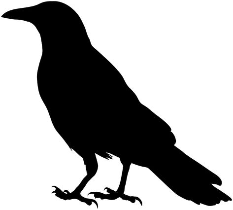 Crow silhouette - Free Vector Silhouettes | Creazilla Black Crow Tattoos, Crow Pictures, Crow Silhouette, Raven Artwork, Crows Drawing, Vogel Silhouette, Fashion Illustration Face, Crow Tattoo, Crows Ravens