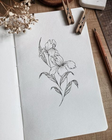 #floralinspiration • I for Iris, which is the February birth flower. Iris means faith, hope, wisdom. 🩷 I hope you have wonderful February … | Instagram August And February Birth Flower Tattoo, February Birth Flower Tattoo, February Flower Tattoo, February Flower, February Birth Flower, Bookplate Design, February Birth Flowers, Birth Flower Tattoos, Birth Flower