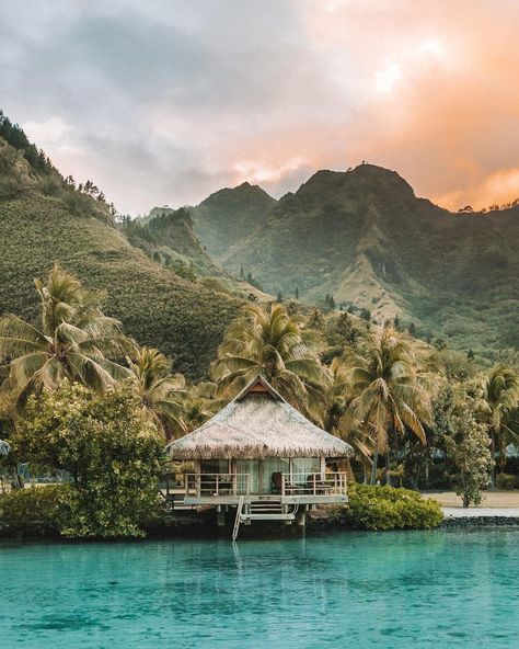 Madeline Lu | Content Creator on Instagram: “Tahiti(Bora Bora) or Maldives? 💦 People often asked me which one I like more and what are the differences. Well, both are dream beach…” Tiny Beach House, Tahiti French Polynesia, Best Honeymoon Destinations, Another Day In Paradise, Beach House Design, Dream Beach, French Polynesia, Honeymoon Destinations, Bora Bora