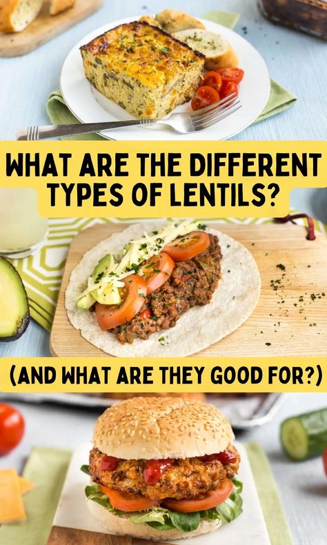 Lentils Nutrition, How To Cook Lentils, Meatless Meals Healthy, Canned Lentils, Lentil Burgers, Lentil Pasta, Dried Lentils, Meatless Recipes, Vegetarian Entrees