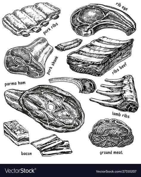 Raw Meat Drawing, Meat Illustration, Recipes Drawing, Meat Drawing, Minced Chicken, Recipe Drawing, Lamb Ribs, Raw Meat, Pork Ham