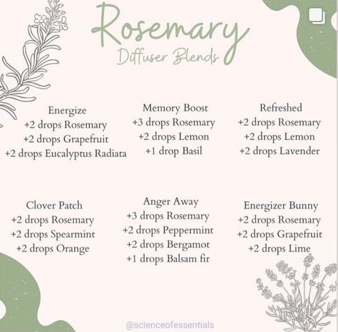 Rosemary Oil Benefits, Essential Oil Candle Blends, Essential Oils Energy, Diffuser Blends Young Living, Essential Oil Roller Bottle Recipes, Best Essential Oil Diffuser, Rosemary Essential Oil, Essential Oil Safety, Essential Oil Diffuser Blends Recipes