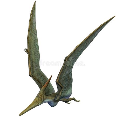 Pteranodon Dinosaur Wings Up. Pteranodon Dinosaur. From the Late Cretaceous geol , #affiliate, #Cretaceous, #geological, #period, #Late, #Pteranodon #ad Dinosaur With Wings, Wings Flying, Up Illustration, Prehistoric Wildlife, Jurrasic Park, Blackout Tattoo, Dinosaur Pictures, Prehistoric World, Dinosaur Skeleton