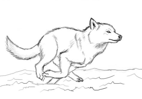 Wolf. Wolf Drawing Easy, Running Drawing, Cool Easy Drawings, Wolf Running, Wolf Sketch, Wolf Artwork, 강아지 그림, Wolf Drawing, Sketchbook Pages