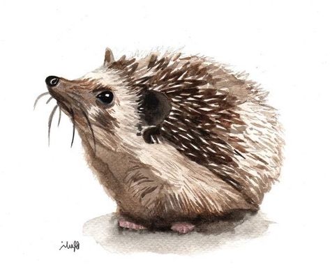 Garden Critters Tattoo, Hedgehog Fantasy Art, Hedgehog Painting, Hedgehog Drawing, Otter Art, Hedgehog Illustration, Goat Art, Hummingbird Painting, Easter Illustration