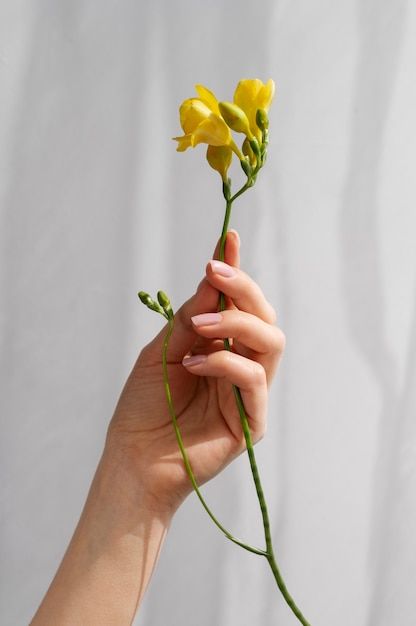 Hand Grabbing Flower Reference, Hand Holding Things Reference, Elegant Hand Poses, Hand Holding Flower Reference, Someone Holding Flowers, Hand Holding Painting, Hand Holding Dandelion, Hand Photo Reference, Hand Poses References