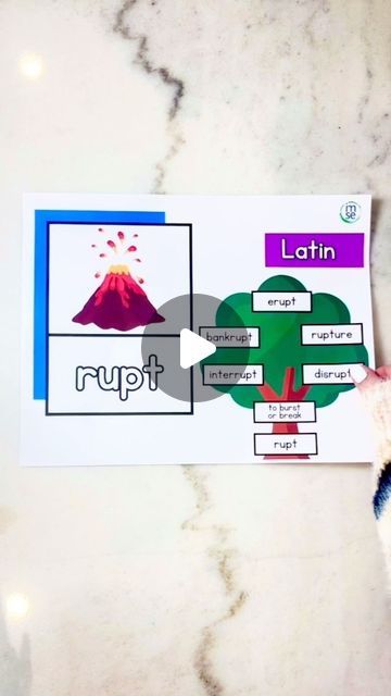 Carla 🍎 Orton-Gillingham Resources for Teachers on Instagram: "💚 Get Morphology and Orton-Gillingham freebies from IMSE.com! 🤯 Was anyone else completely mind-blown after @imse_og Morphology training??? #iteachsped #scienceofreading #literacymatters #iteachsecond #iteachthird #iteachfourth #iteachfifth #iteachela #eslteacher #englishteachers" Orton Gillingham, Resources For Teachers, Esl Teachers, English Teacher, Teacher Resources, Mind Blown, Mindfulness, Train, On Instagram