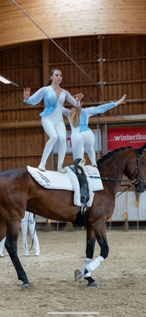 Horse Tack Rooms, Tack Rooms, Tack Room, Horse Tack, Vaulting, Karate, Volleyball, Gymnastics, Equestrian