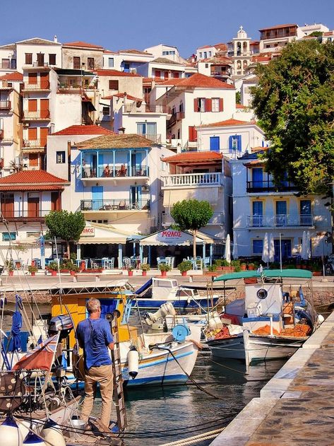 View of the port of Skopelos! www.skopelos.gr 📷: Argyro (instagram.com/yrw_koun) #skopelos #visitskopelos #apieceofyourheart #apieceofyourart #visitskopelosisland #sporades #visitsporades #sporadesislands #greece #weddings #architecture #hiking #ecology #beaches #greek #vacation #holidays #mamamia #travel #visitgreece #port Skopelos Greece, Greece Country, Skiathos Greece, Greek Vacation, Skiathos, Visiting Greece, Dream Travel Destinations, Greek Island, Beautiful Places To Travel