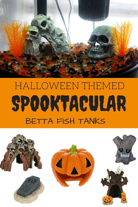 Halloween Fish Tank Decor, Spooky Fish Tank, Halloween Fish Tank, Fish Tank Decorations Themes, Betta Tank Ideas, Fish Tank Themes, Different Fish, Betta Tank, Beta Fish