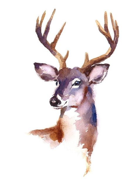 A Deer, Antlers, Elk, Watercolor Painting, Deer, Fabric, Art, Watercolour Painting