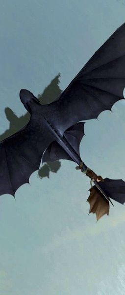 Toothless top view Toothless Wings, Toothless Tail, Httyd 1 Toothless, Dragon Top View, Toothless Flying, Night Fury Flying, Httyd Landscape Wallpaper, Hiccup And Toothless Flying, Toothless First Movie